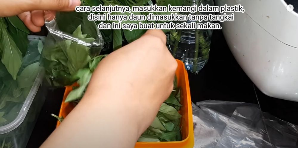 Cara menyimpan kemangi supaya tetap segar dan hijau sampai dua minggu