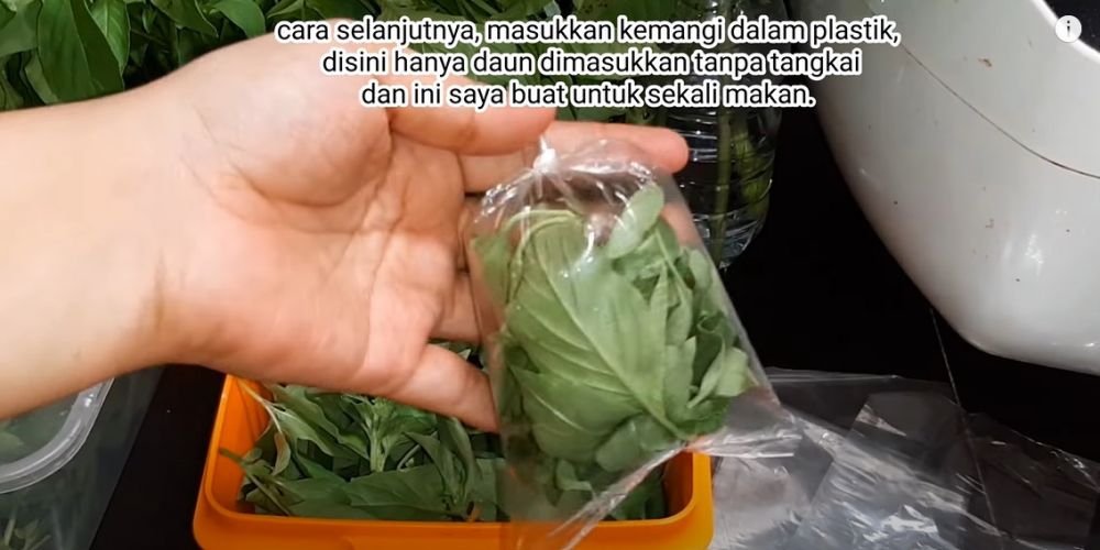 Cara menyimpan kemangi supaya tetap segar dan hijau sampai dua minggu