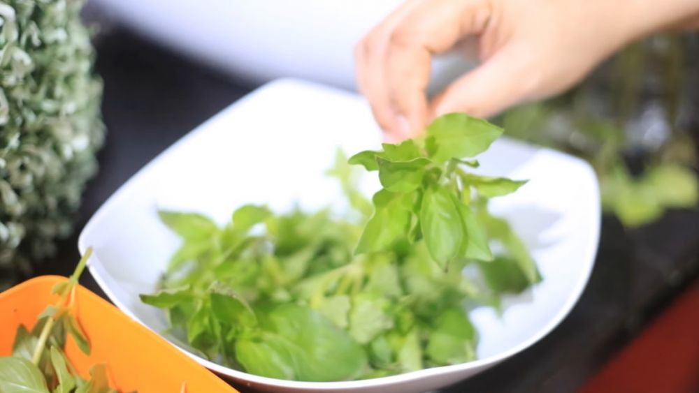 Cara menyimpan kemangi supaya tetap segar dan hijau sampai dua minggu