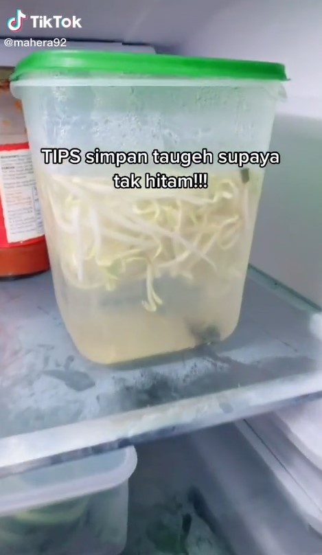 Cukup tambah satu bahan dapur, ini cara menyimpan tauge supaya tak menghitam sampai 1 minggu