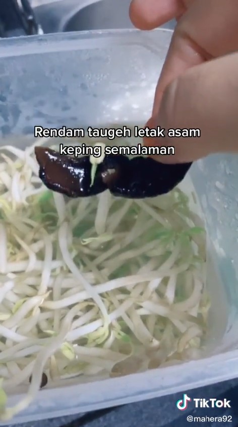 Cukup tambah satu bahan dapur, ini cara menyimpan tauge supaya tak menghitam sampai 1 minggu