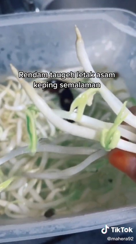 Cukup tambah satu bahan dapur, ini cara menyimpan tauge supaya tak menghitam sampai 1 minggu