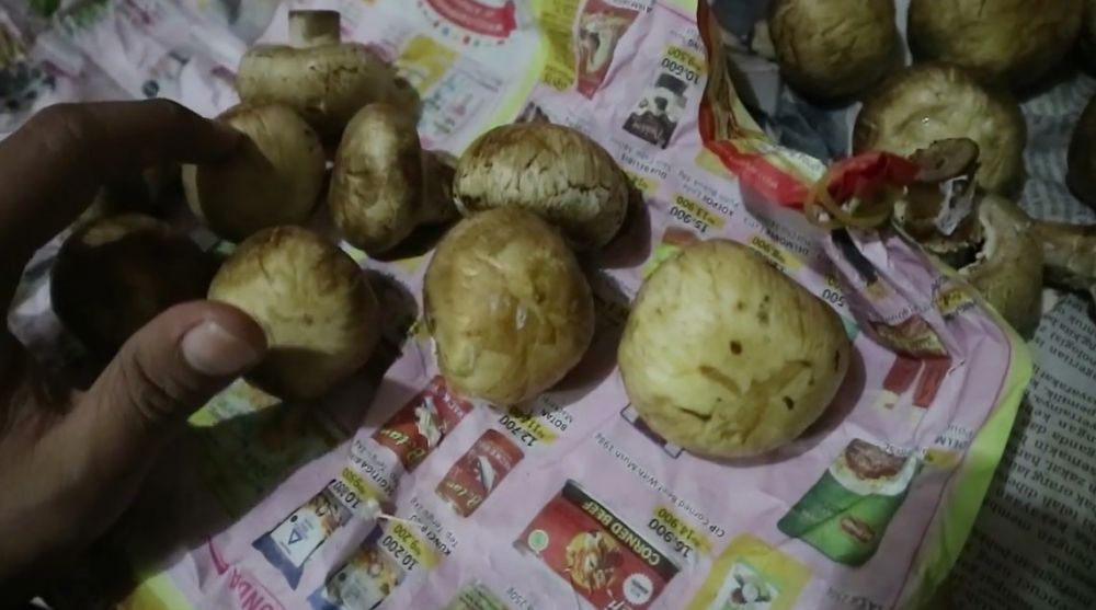 Tanpa direbus, ini cara menyimpan jamur kancing agar tak lembek sampai 5 hari di suhu ruang