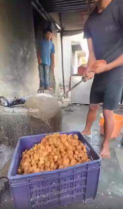 11 Potret pembuatan bakwan khas India ini bikin ngelus dada, ngaduk adonannya manual tenaga manusia