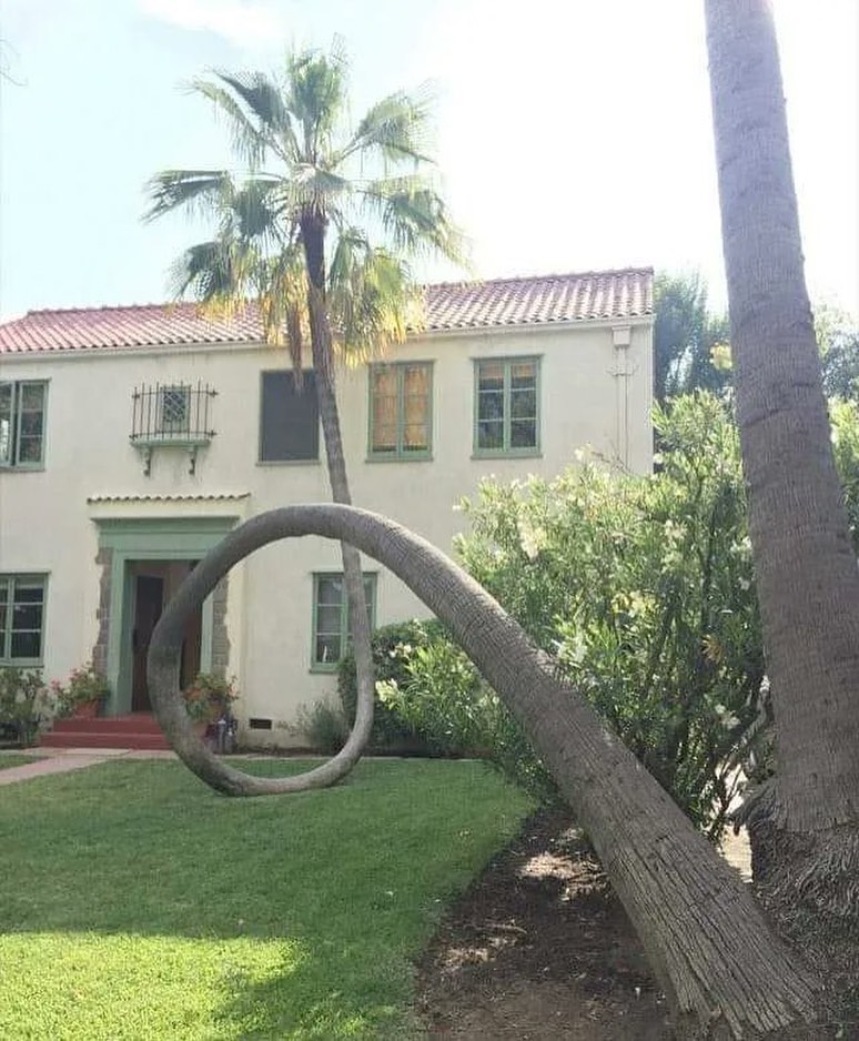 benda di depan rumah mikir keras © berbagai sumber