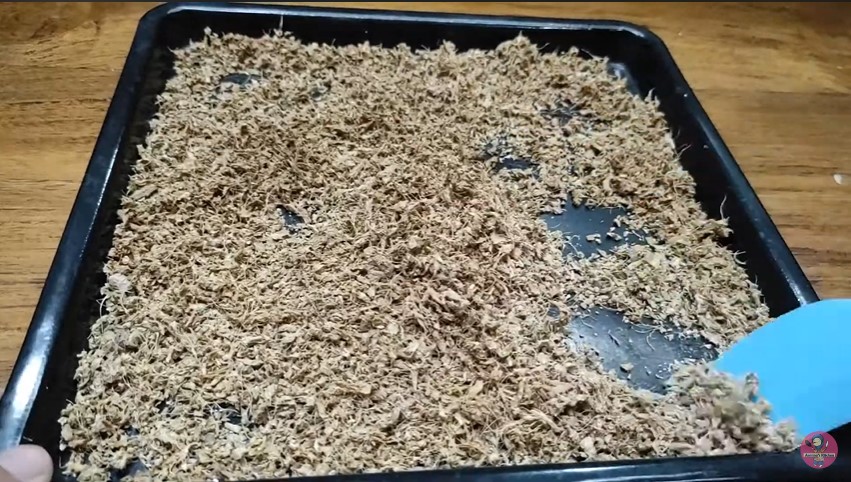 Cara praktis menyimpan jahe merah agar awet dan tak busuk selama setahun