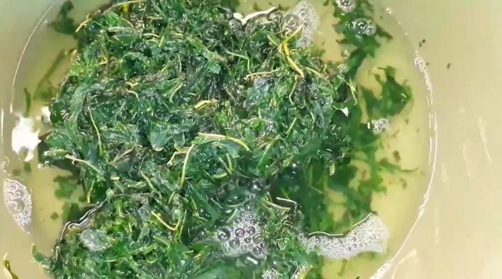 Tanpa direbus dulu, begini trik menumis daun singkong agar rasanya tidak pahit