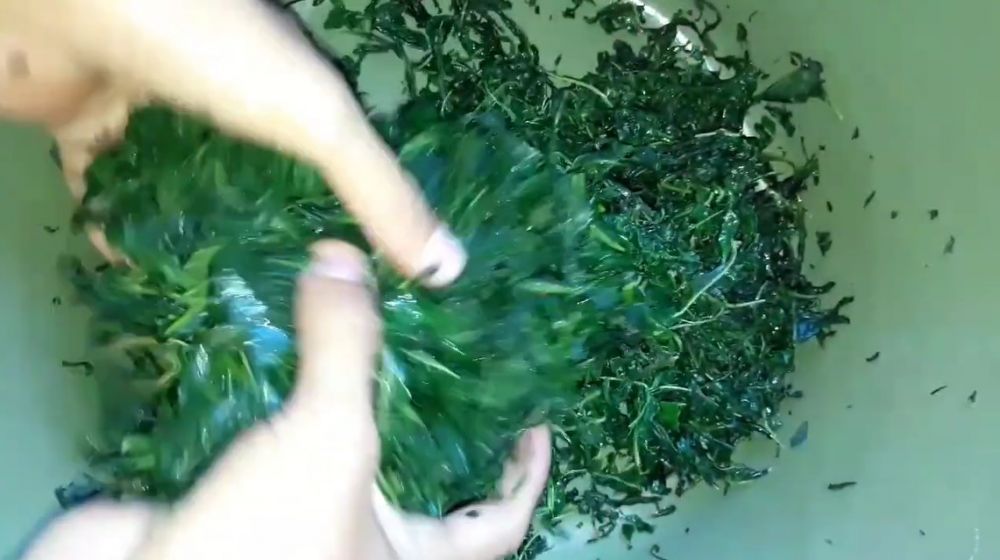 Tanpa direbus dulu, begini trik menumis daun singkong agar rasanya tidak pahit