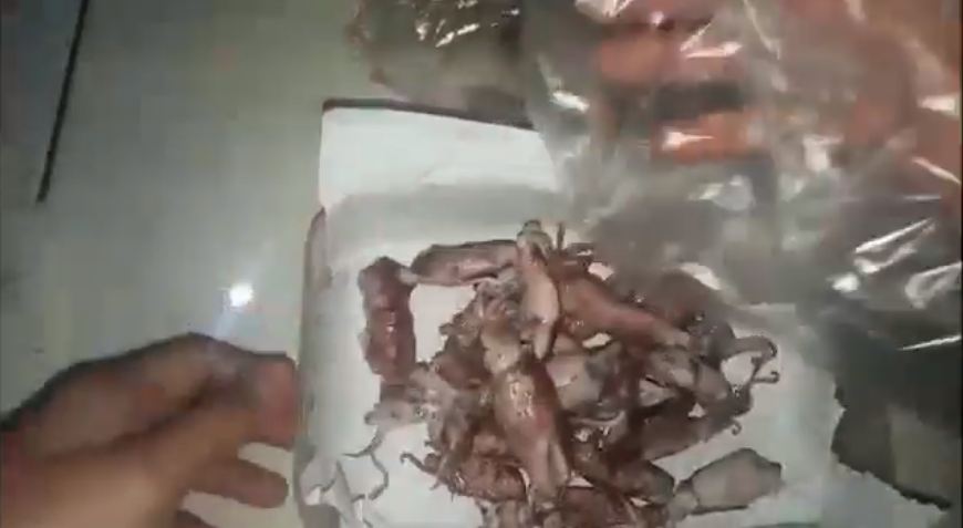 Jangan asal, ini cara menyimpan cumi asin di kulkas agar tetap segar hingga 2 bulan