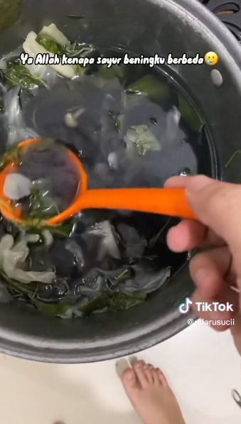Bukannya segar, cara wanita masak sayur bayam ini hasilnya bikin senyum kecut