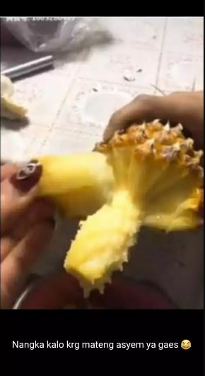 Stori WA kocak salah tulis nama makanan Berbagai sumber