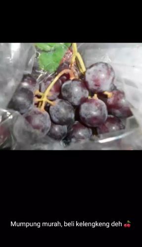 Stori WA kocak salah tulis nama makanan Berbagai sumber Stori WA kocak salah tulis nama makanan Berbagai sumber