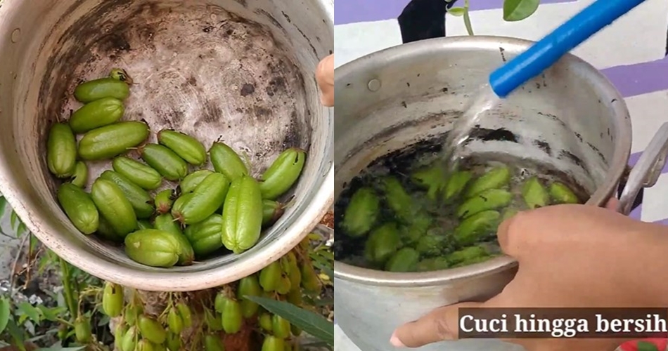 Cara menghilangkan kerak gosong di bagian dalam panci, cuma pakai satu buah ini