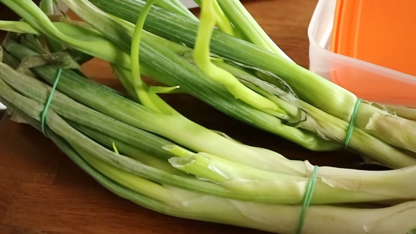 Tetap segar dan wangi berbulan-bulan, ini cara menyimpan daun bawang agar awet di kulkas