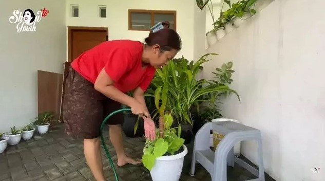 Soimah saat berkebun di rumahnya © berbagai sumber Soimah saat berkebun di rumahnya © berbagai sumber