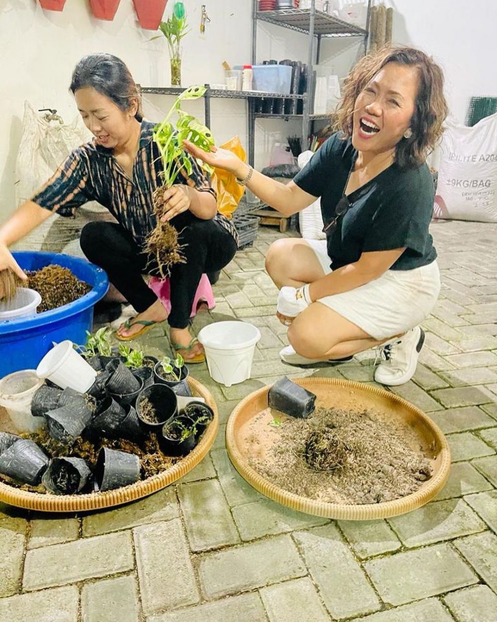 Soimah saat berkebun di rumahnya © berbagai sumber Soimah saat berkebun di rumahnya © berbagai sumber