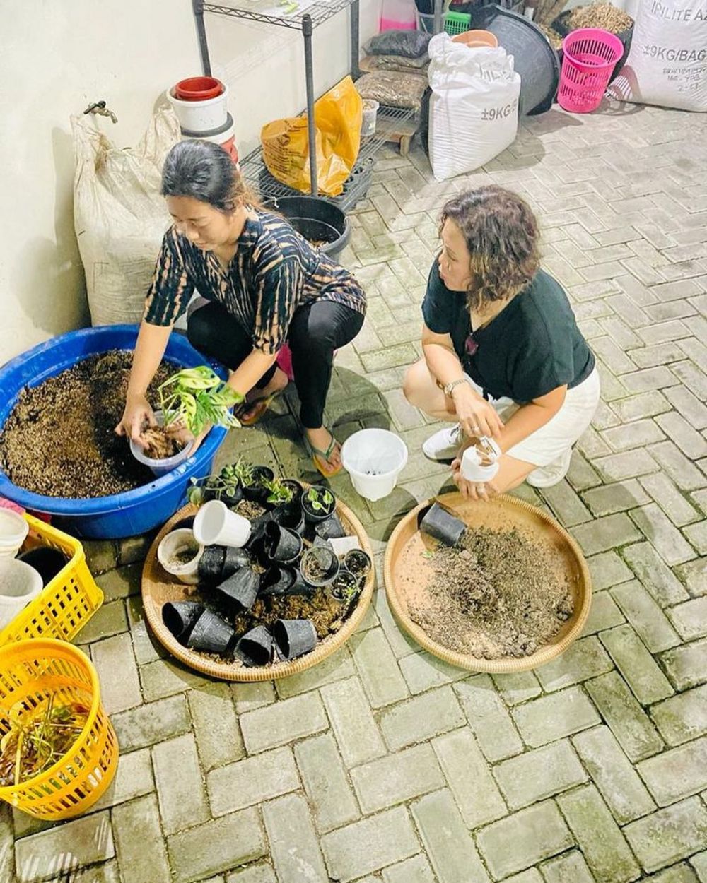 Soimah saat berkebun di rumahnya © berbagai sumber Soimah saat berkebun di rumahnya © berbagai sumber