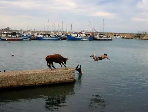 Momen lucu saat di sungai Berbagai sumber