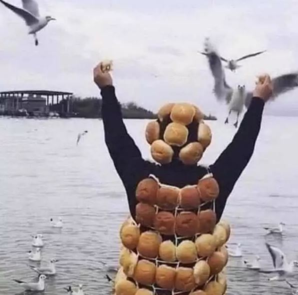 Momen lucu saat di sungai Berbagai sumber