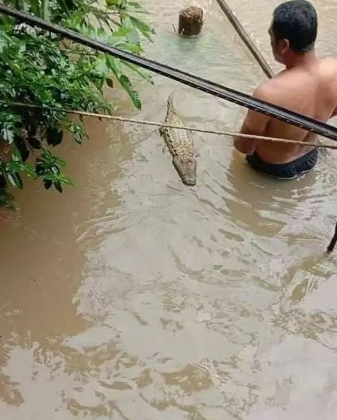 Momen lucu saat di sungai Berbagai sumber