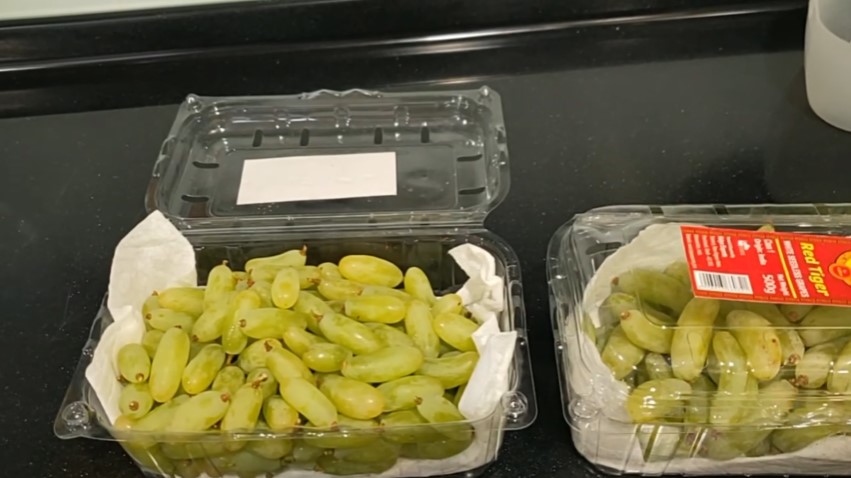 Tanpa mencabut tangkainya, ini cara simpan buah anggur agar tak cepat busuk dan awet hingga 1 bulan
