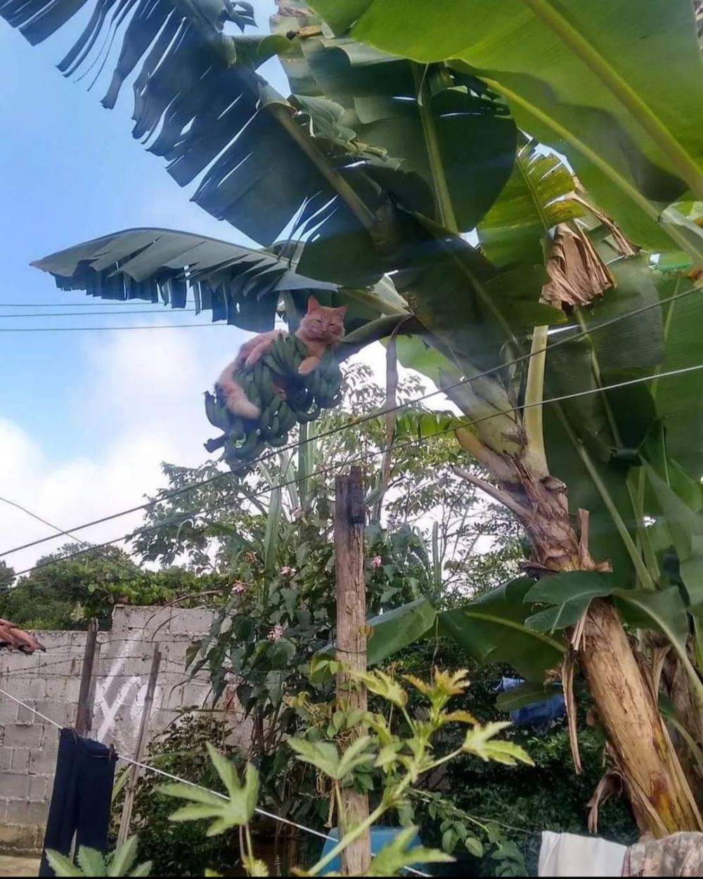 potret hewan di tempat umum ini bikin kening berkerut © Instagram potret hewan di tempat umum ini bikin kening berkerut © Instagram
