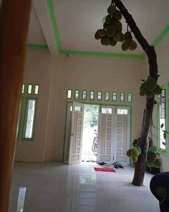  ide nyeleneh mempercantik rumah © berbagai sumber