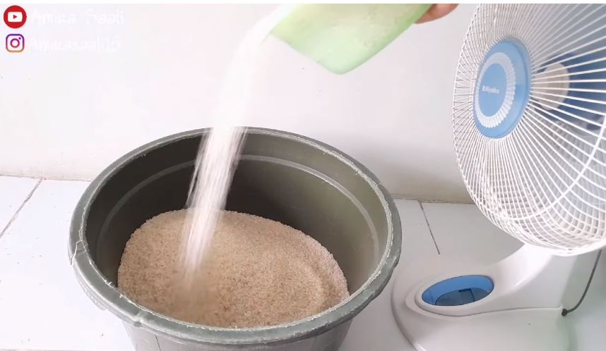 Pakai satu bahan dapur, ini trik mudah mengusir ulat dan kutu pada beras