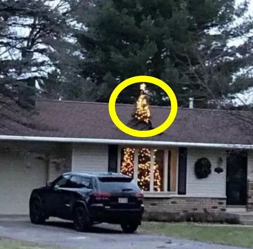 penampakan lucu di atap rumah Berbagai sumber