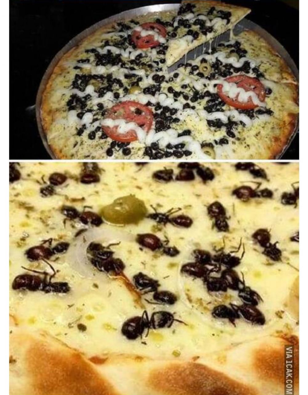 kreasi makanan ini hasilnya malah aneh bin ajaib © berbagai sumber kreasi makanan ini hasilnya malah aneh bin ajaib © berbagai sumber