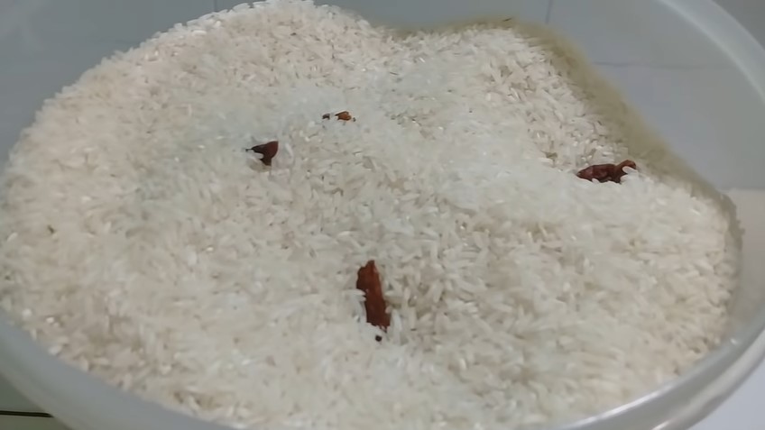 Bukan pakai daun salam atau jeruk, ini trik ampuh mengusir kutu pada beras