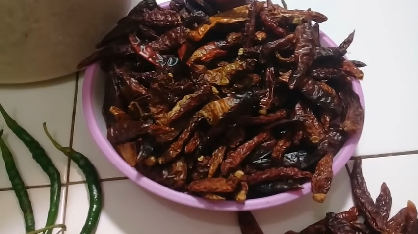 Bukan pakai daun salam atau jeruk, ini trik ampuh mengusir kutu pada beras