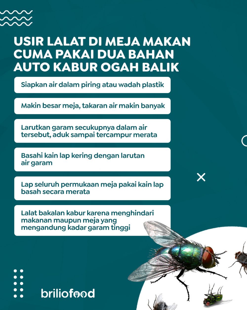 Cuma pakai dua bahan dapur, ini cara mudah mengusir lalat di meja makan