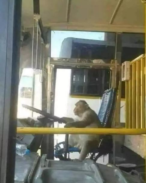 potret lucu orang dalam bus Berbagai sumber