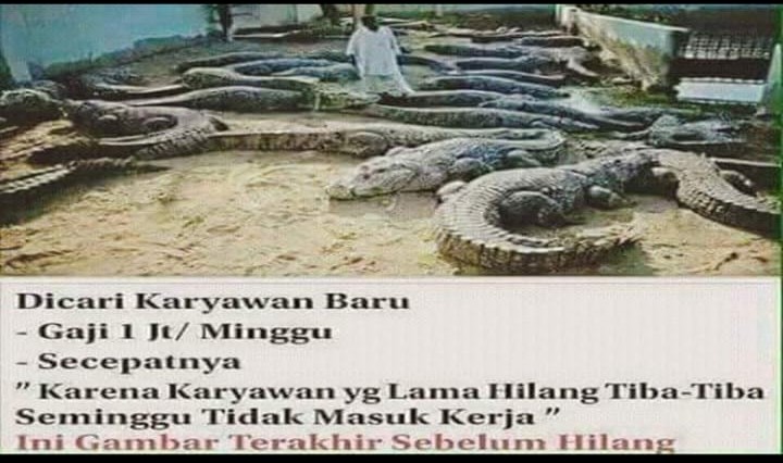potret kocak lowongan kerja ini bikin kamu pengen nganggur aja © berbagai sumber