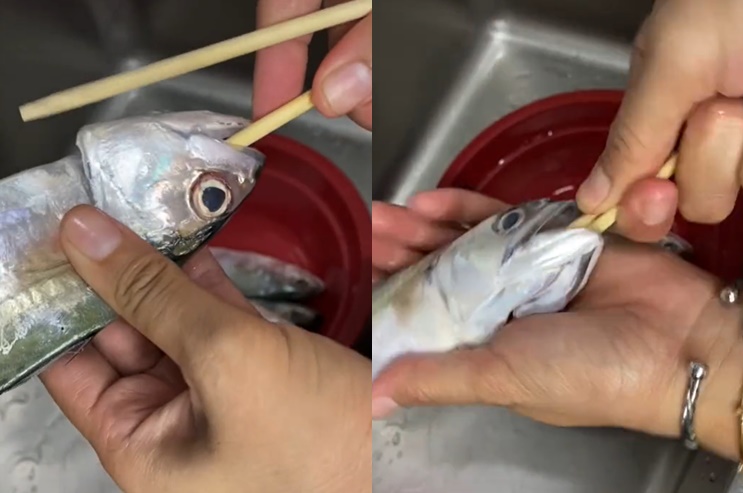 Tanpa dibelah, begini cara membersihkan jeroan ikan pakai satu alat dapur