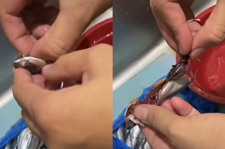 Tanpa dibelah, begini cara membersihkan jeroan ikan pakai satu alat dapur