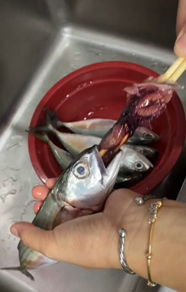 Tanpa dibelah, begini cara membersihkan jeroan ikan pakai satu alat dapur