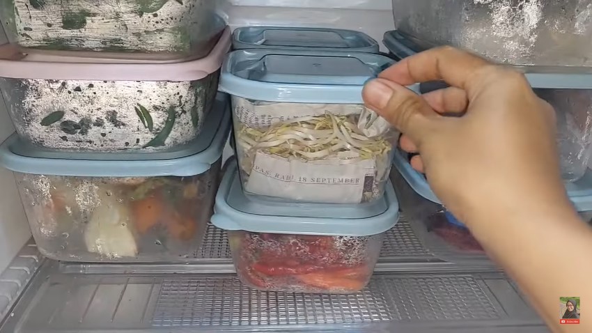 Bukan direndam air, begini cara menyimpan tauge agar tetap renyah dan segar lebih dari seminggu