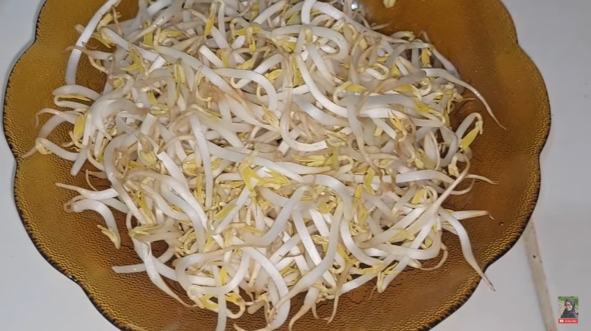 Bukan direndam air, begini cara menyimpan tauge agar tetap renyah dan segar lebih dari seminggu