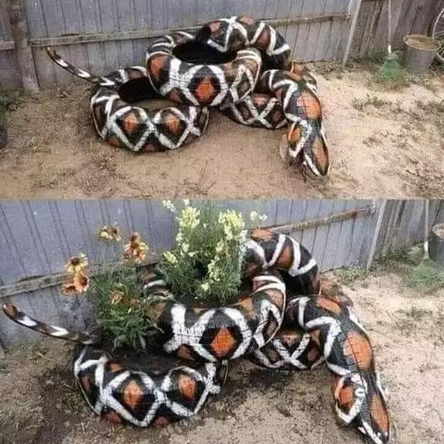 15 benda susah dibedakan ini bikin bingung sendiri lihatnya © berbagai sumber 15 benda susah dibedakan ini bikin bingung sendiri lihatnya © berbagai sumber