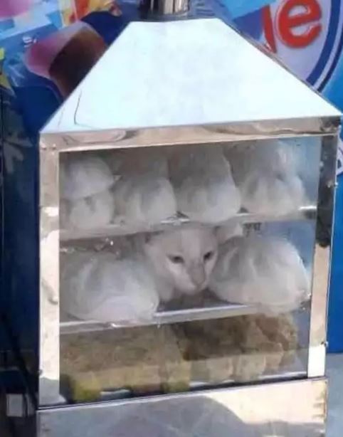 Penampakan isi gerobak pedagang kaki lima Berbagai sumber