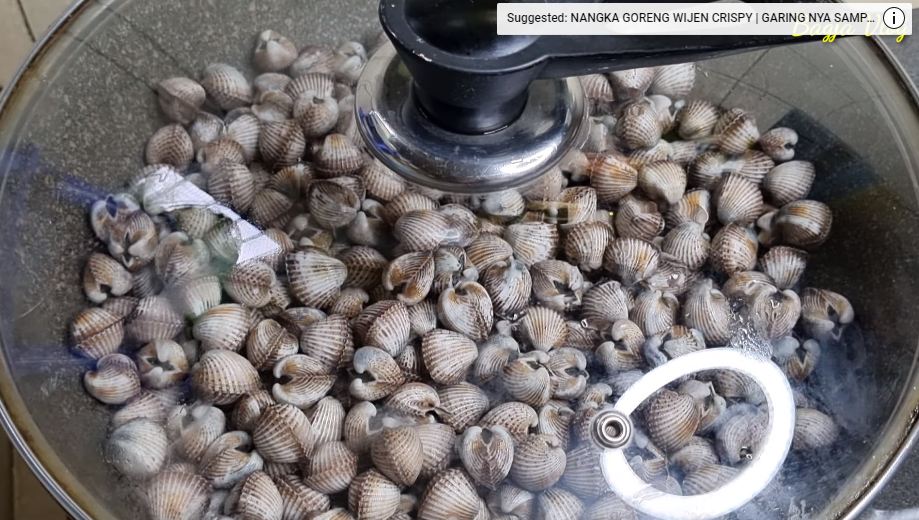 Tanpa bahan tambahan, ini trik merebus kerang dara agar cepat matang dan mekar dengan sendirinya