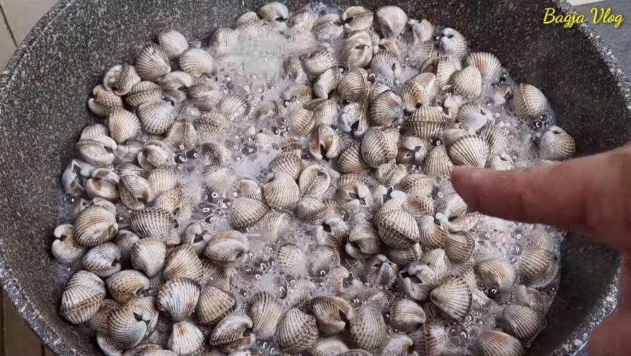 Tanpa bahan tambahan, ini trik merebus kerang dara agar cepat matang dan mekar dengan sendirinya