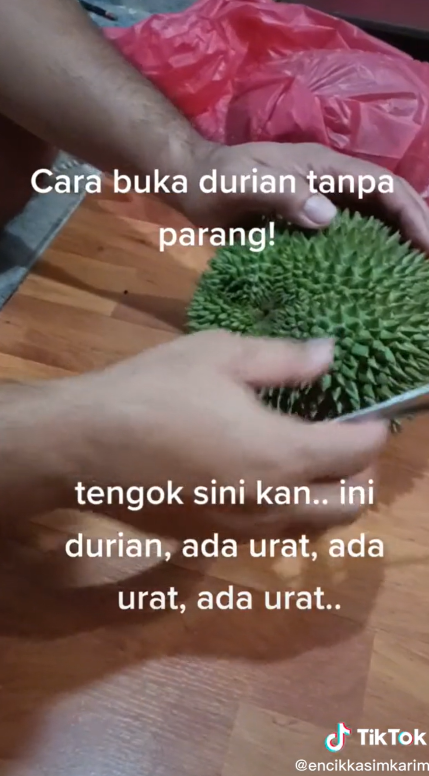 Tanpa menggunakan pisau, begini cara cepat membuka durian pakai satu alat dapur