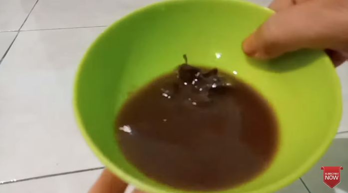 Cara ampuh menghilangkan getah lompong agar tak bikin gatal, pakai tiga bahan dapur