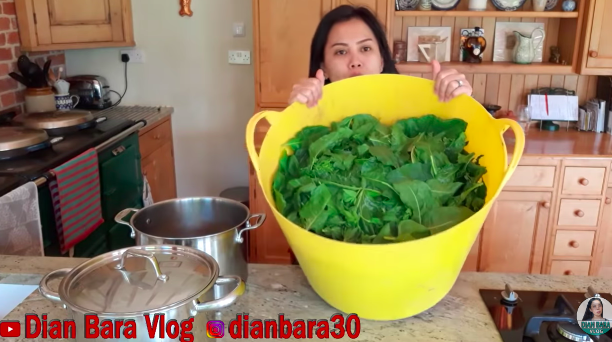 Tanpa bahan pengawet, ini cara simpan bayam agar segar dan tetap enak hingga berbulan-bulan