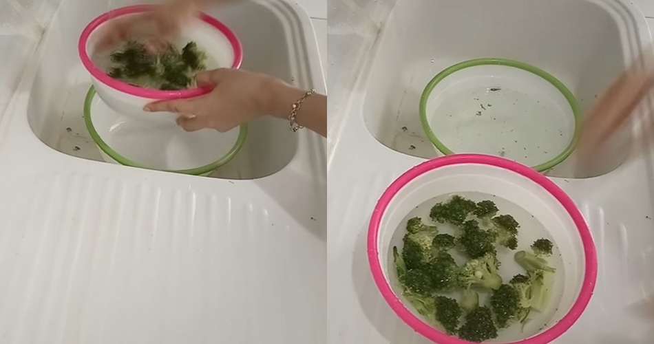 Bukan pakai tisu, ini trik jitu menyimpan brokoli agar tak kering dan menguning hingga 1 minggu