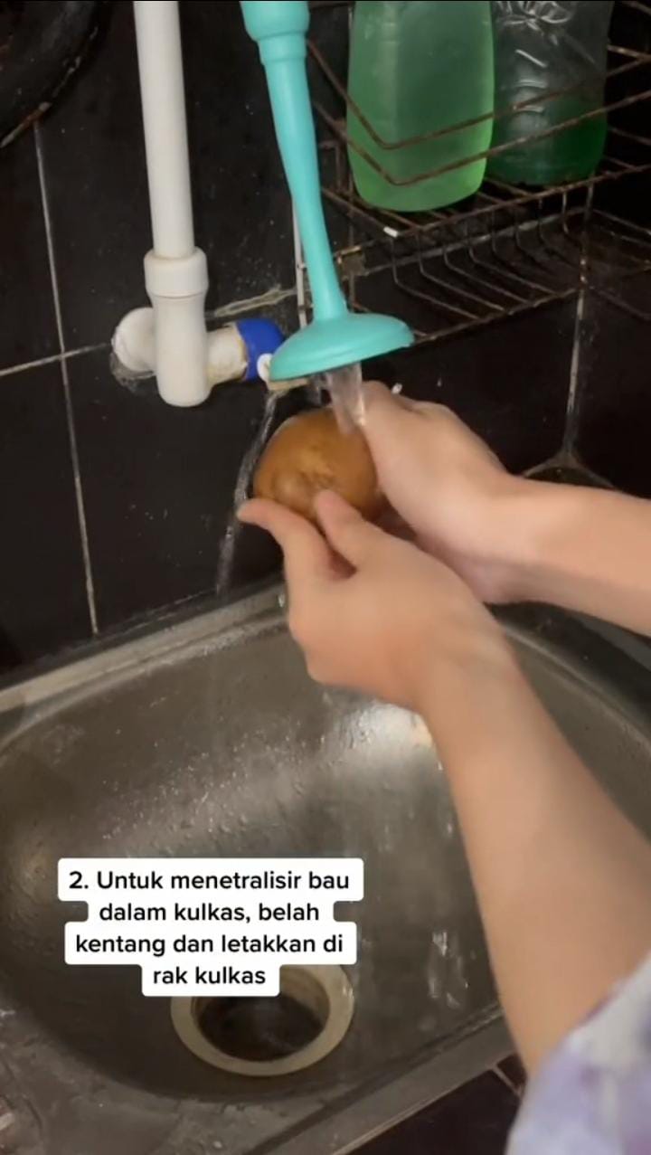 Tanpa bubuk kopi, ini trik ampuh usir bau pada kulkas cuma butuh satu jenis umbi-umbian