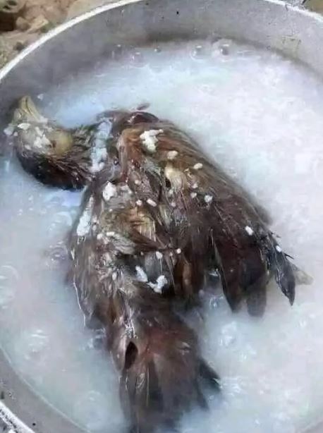 potret nyeleneh benda dalam wajan Berbagai sumber